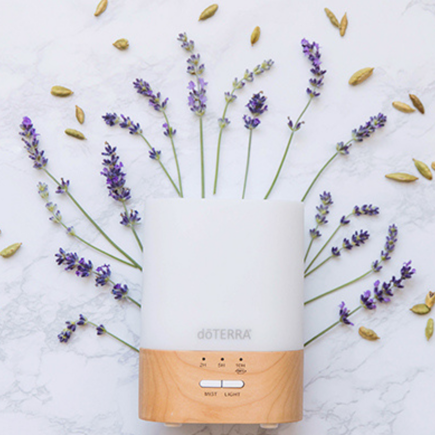Lumo Essential Oil Diffuser