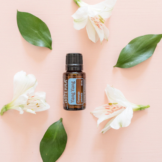 Ylang Ylang 15ml Single Oil